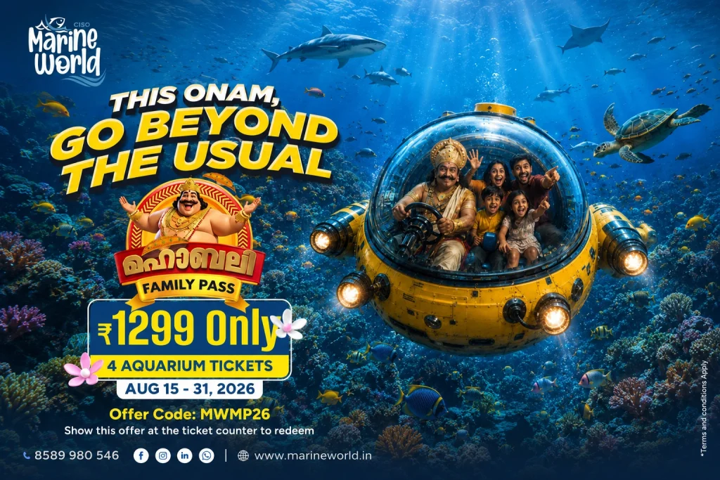 onam offers
