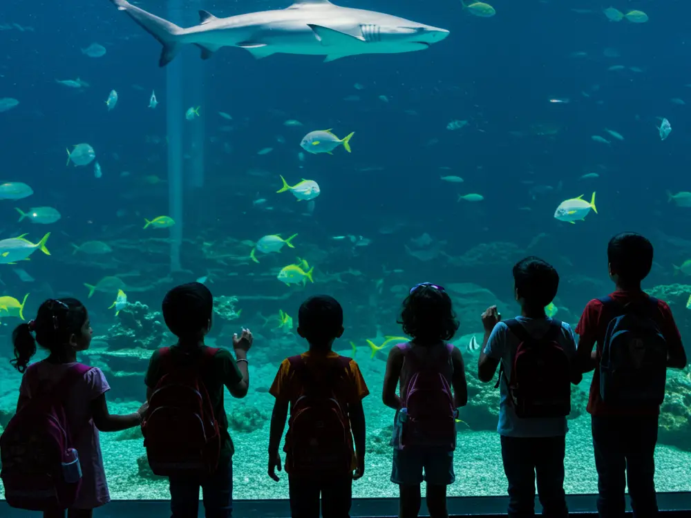 children aquarium visit