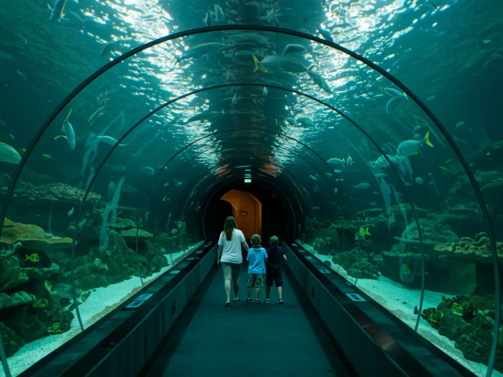 Thrissur’s New Wildlife Tourism Boost