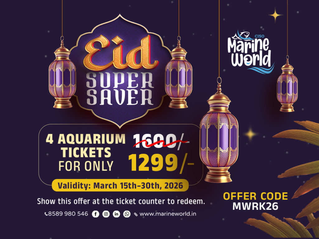 Marine World Eid offer 2026