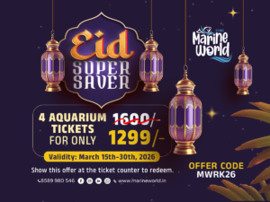 Marine World Eid offer 2026